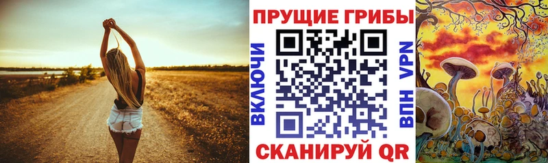 Псилоцибиновые грибы GOLDEN TEACHER  Сосновый Бор 